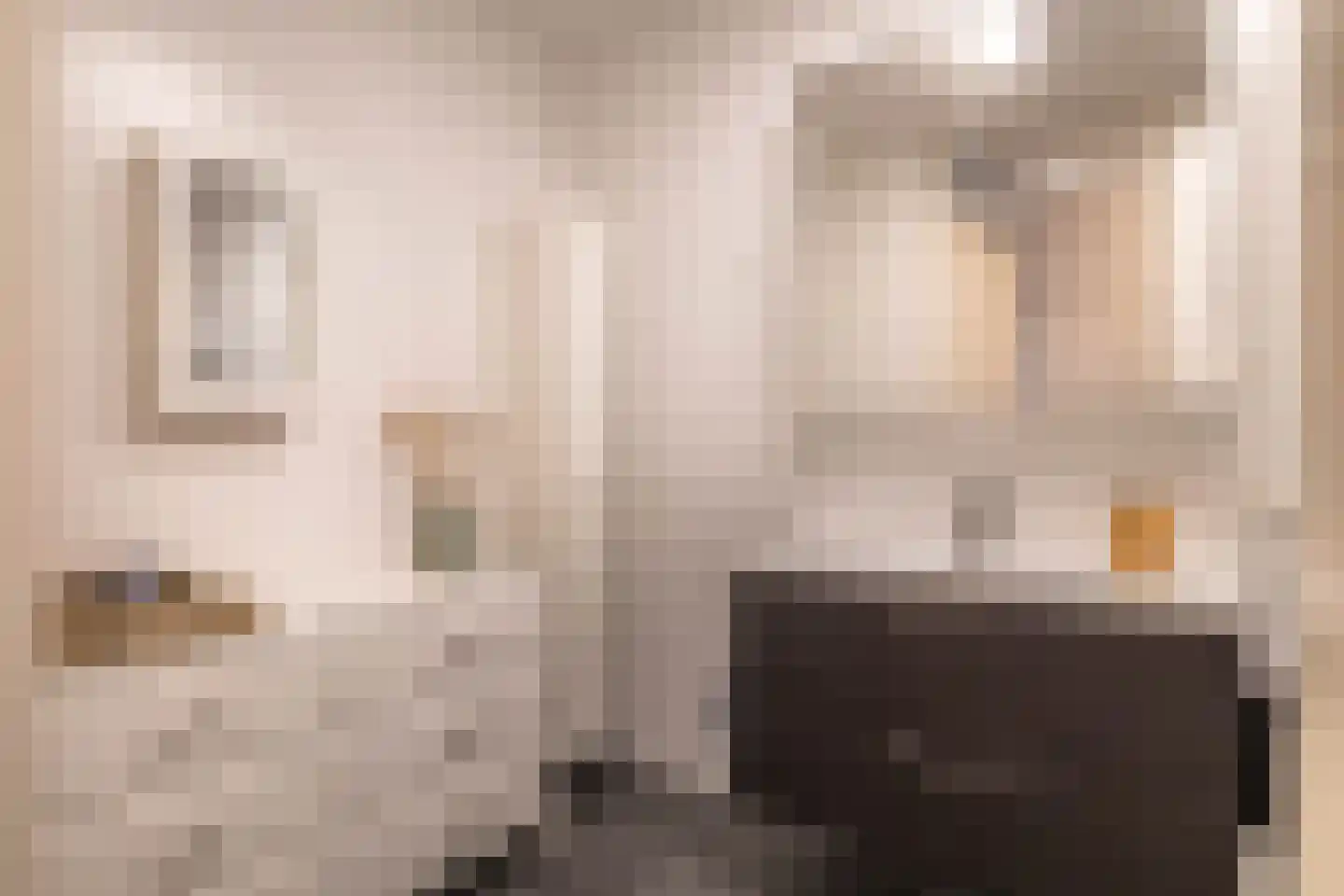 Teakhout 126 Zaandam thumbnail 26