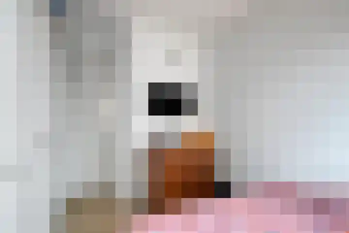 Teakhout 13 a Zaandam thumbnail 20