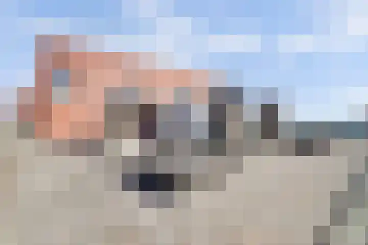 Teakhout 13 a Zaandam thumbnail 23
