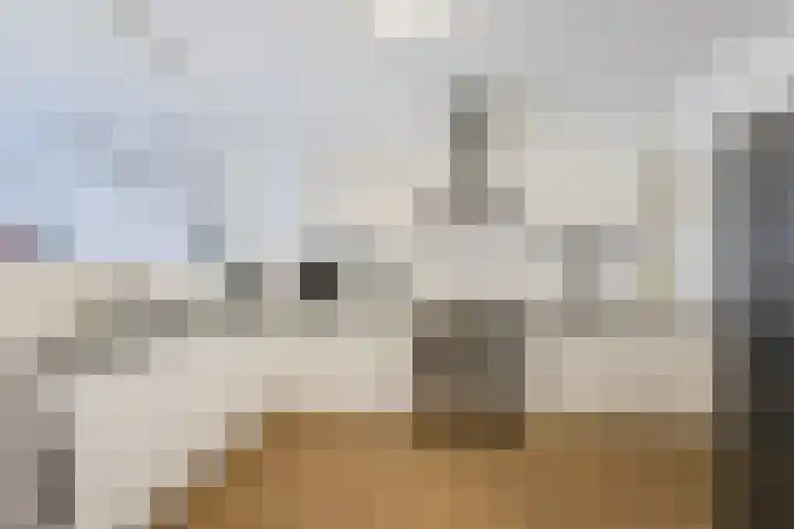 Teakhout 131 Zaandam thumbnail 13