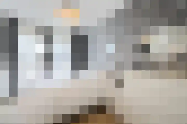 Teakhout 131 Zaandam thumbnail 15