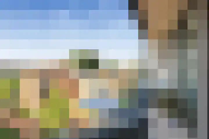 Teakhout 131 Zaandam thumbnail 24