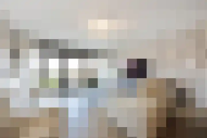 Teakhout 131 Zaandam thumbnail 8