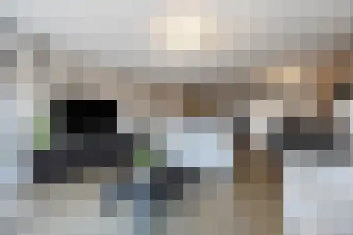 Teakhout 131 Zaandam thumbnail 9