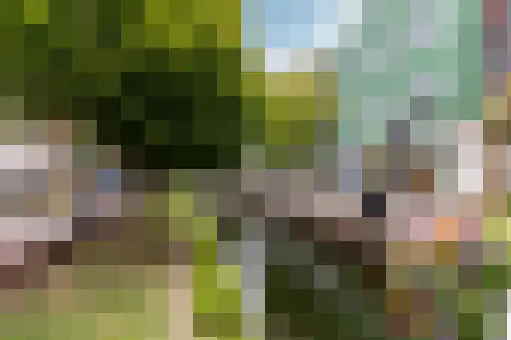 Teakhout 14 a Zaandam thumbnail 43