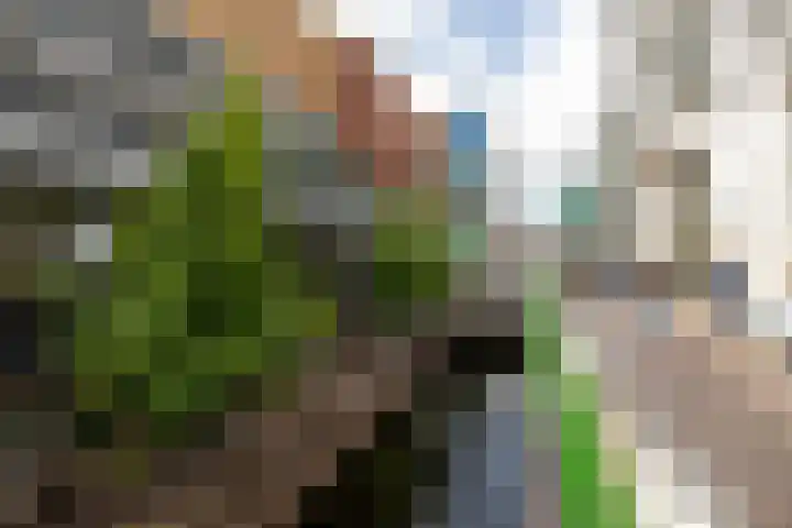 Teakhout 14 a Zaandam thumbnail 44