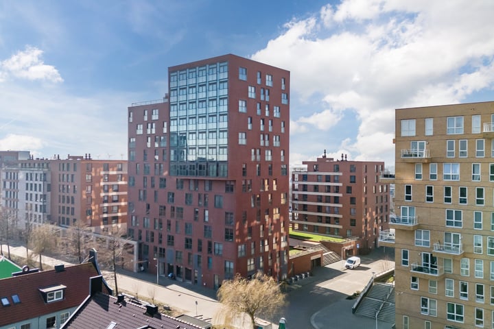 Teakhout 15 in Zaandam foto