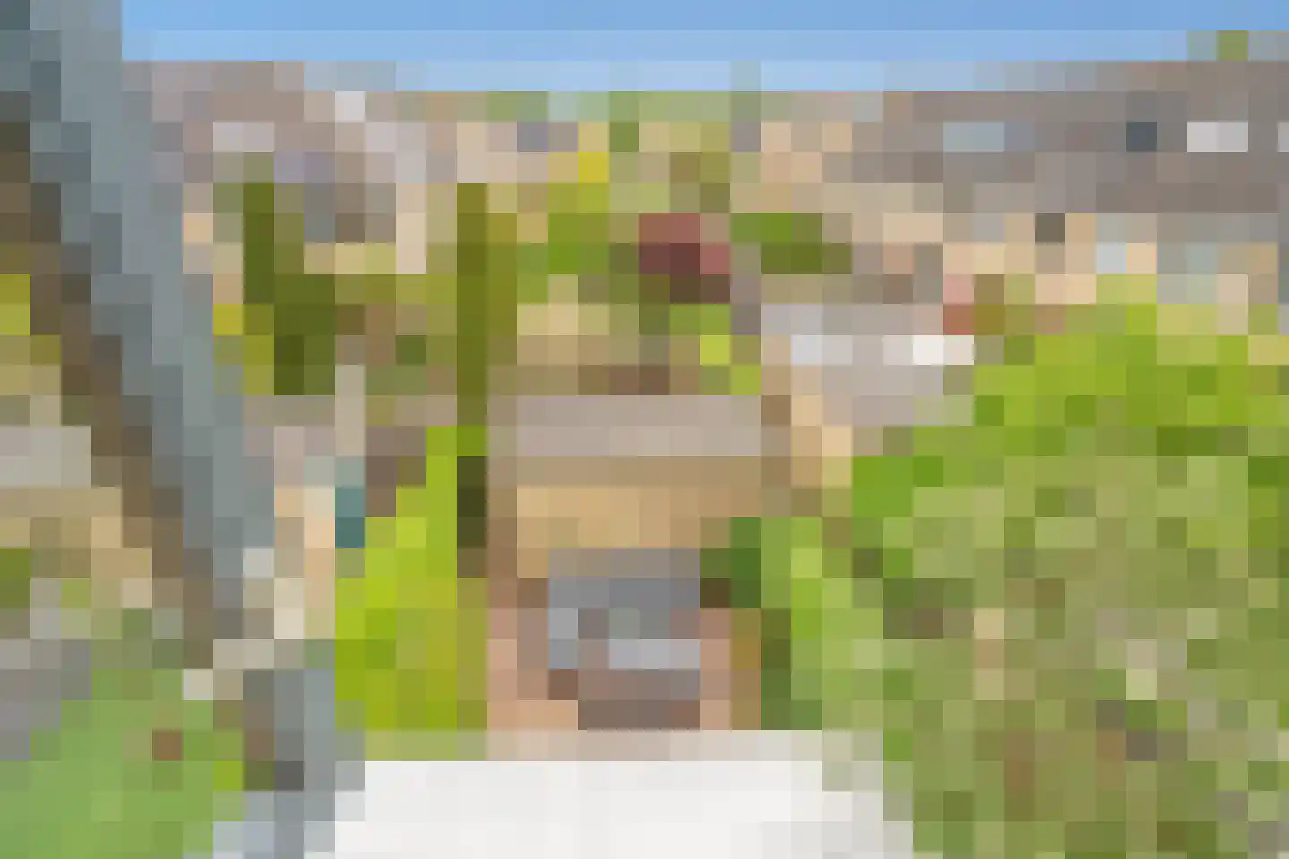 Teakhout 24 Zoetermeer thumbnail 30