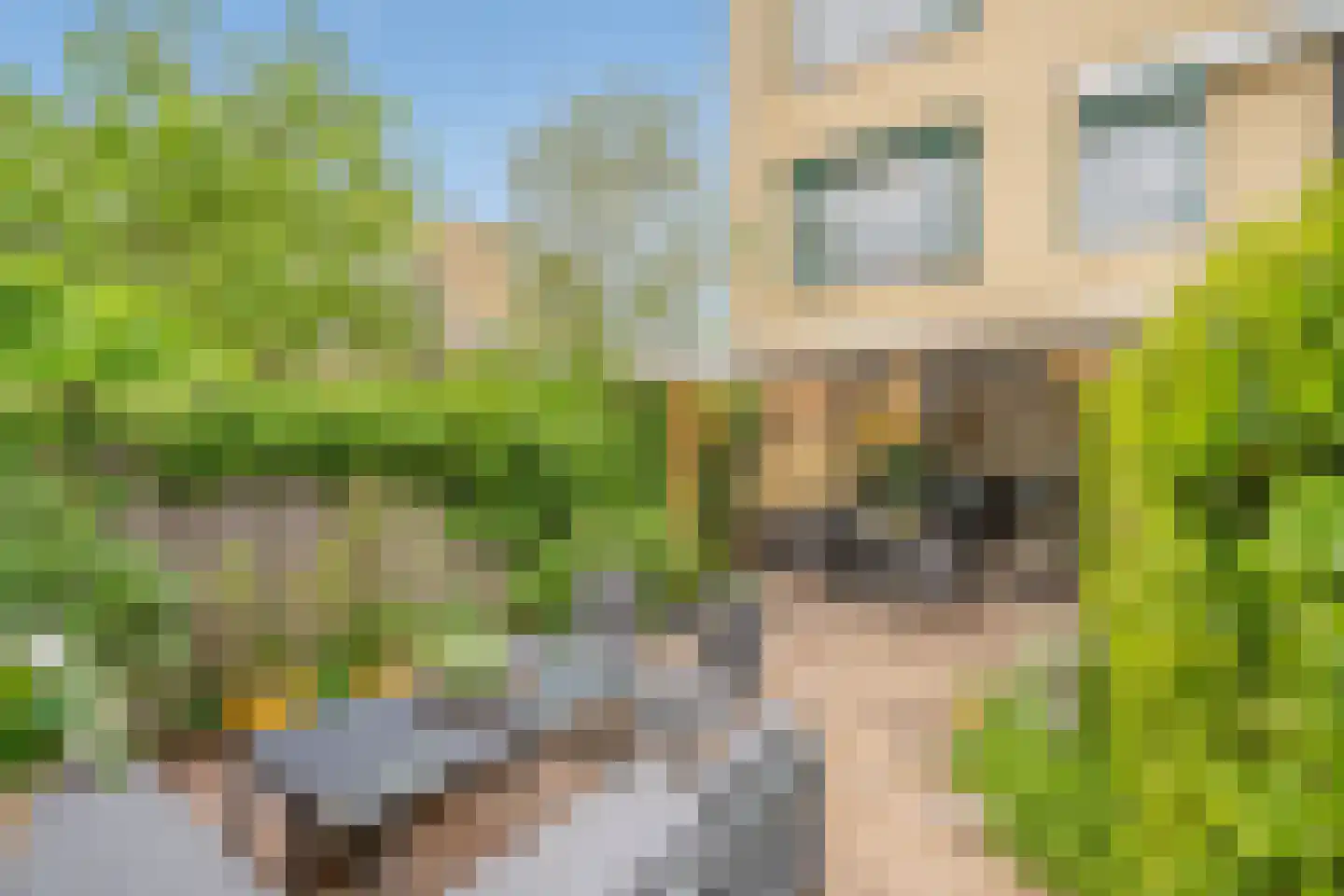 Teakhout 24 Zoetermeer thumbnail 31