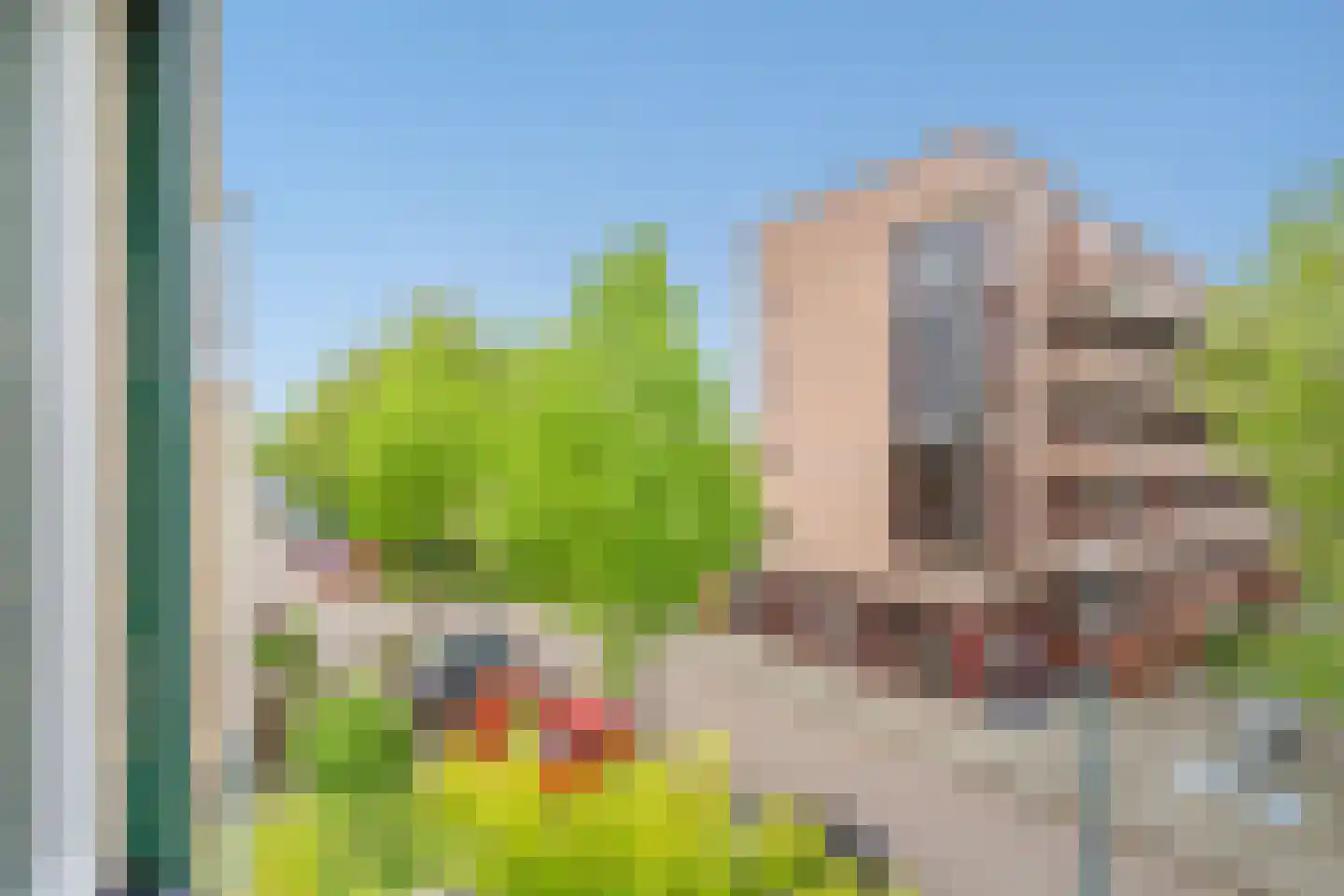 Teakhout 24 Zoetermeer thumbnail 33