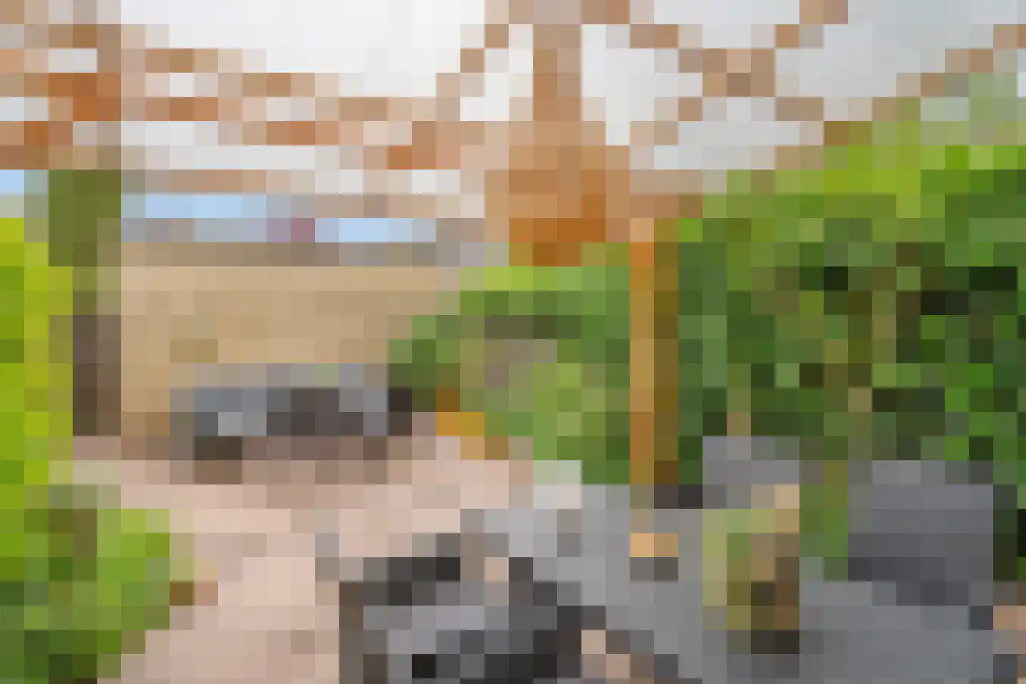 Teakhout 24 Zoetermeer thumbnail 4