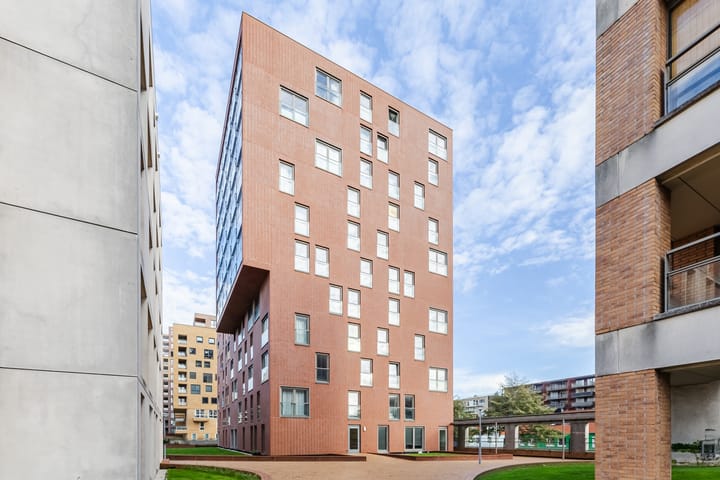 Teakhout 26 in Zaandam Foto