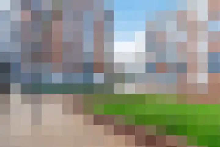 Teakhout 26 Zaandam thumbnail 32