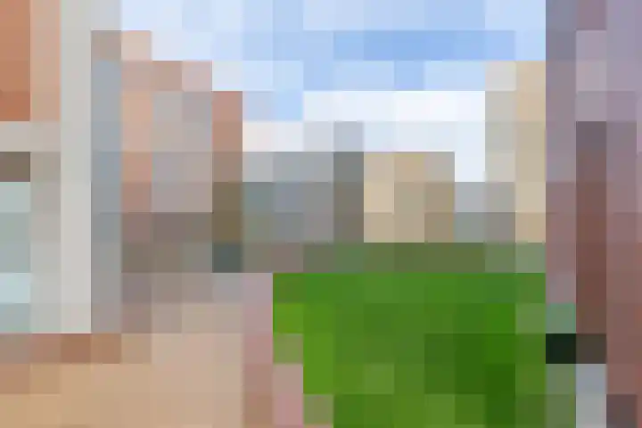 Teakhout 26 Zaandam thumbnail 33