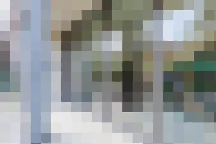 Teakhout 26 Zaandam thumbnail 4