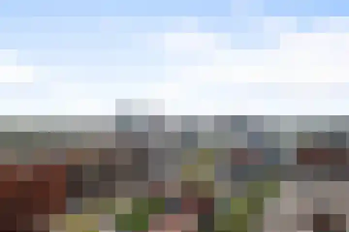 Teakhout 29 a Zaandam thumbnail 33