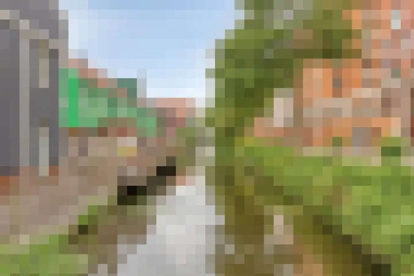 Teakhout 29 Zaandam thumbnail 32