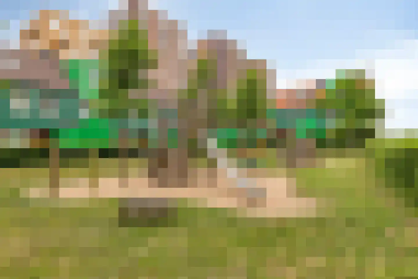 Teakhout 29 Zaandam thumbnail 33