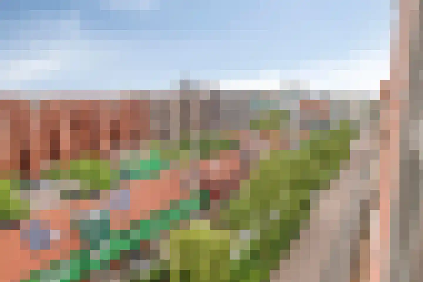 Teakhout 29 Zaandam thumbnail 34