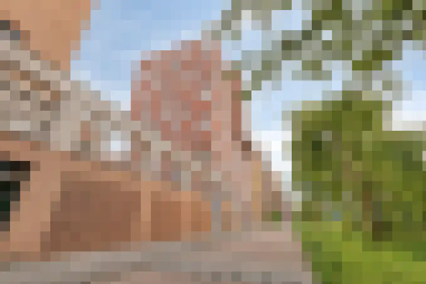 Teakhout 29 Zaandam thumbnail 36