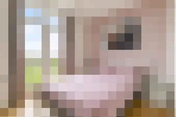 Teakhout 30 Houten thumbnail 24