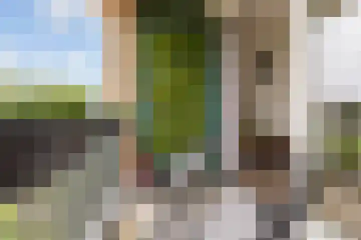 Teakhout 30 Houten thumbnail 29