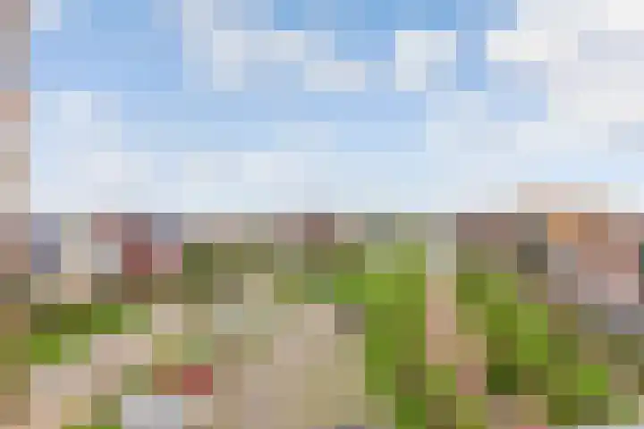 Teakhout 30 Houten thumbnail 30