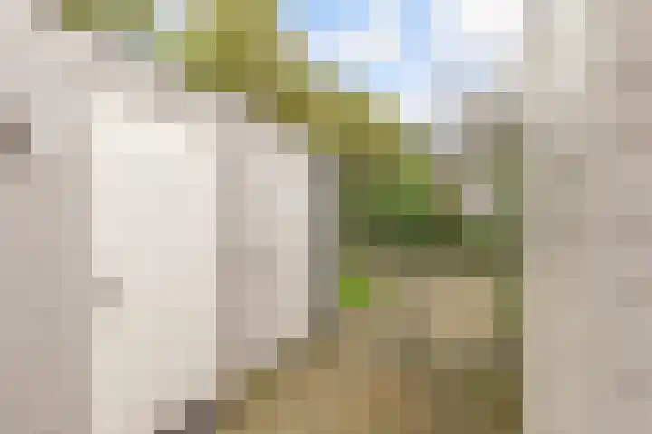 Teakhout 30 Houten thumbnail 32