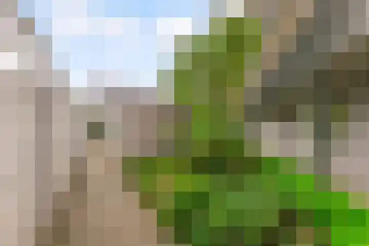 Teakhout 30 Houten thumbnail 33