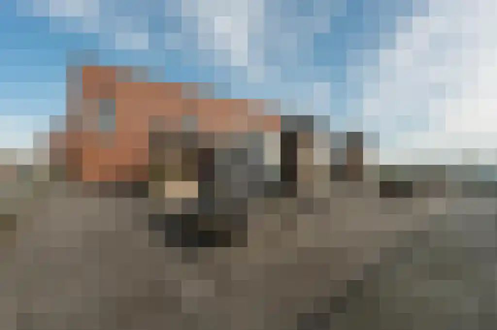 Teakhout 32 Zaandam thumbnail 27