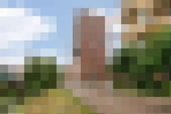 Teakhout 36 a Zaandam thumbnail 27