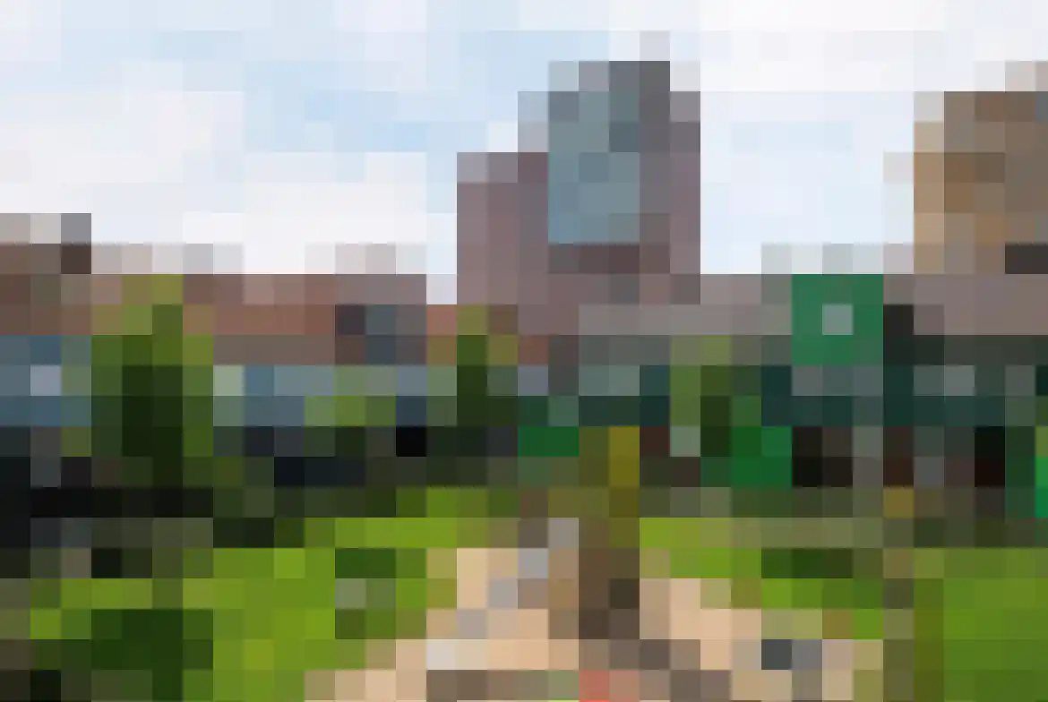 Teakhout 40 a Zaandam foto 2