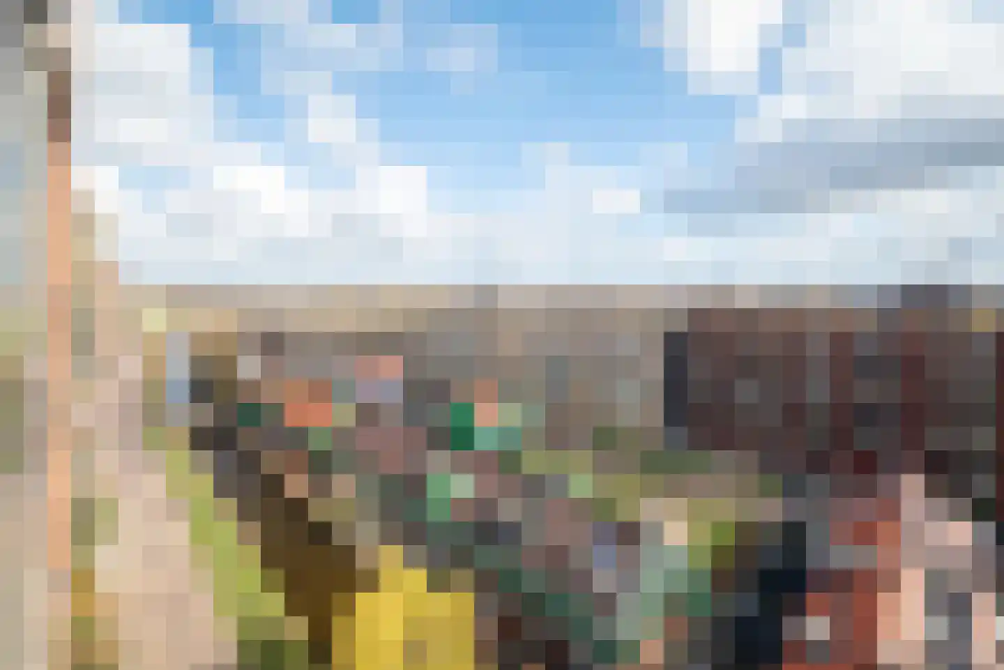Teakhout 40 a Zaandam thumbnail 20