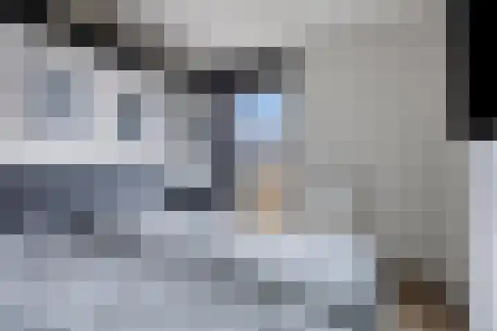 Teakhout 44 Zaandam thumbnail 15