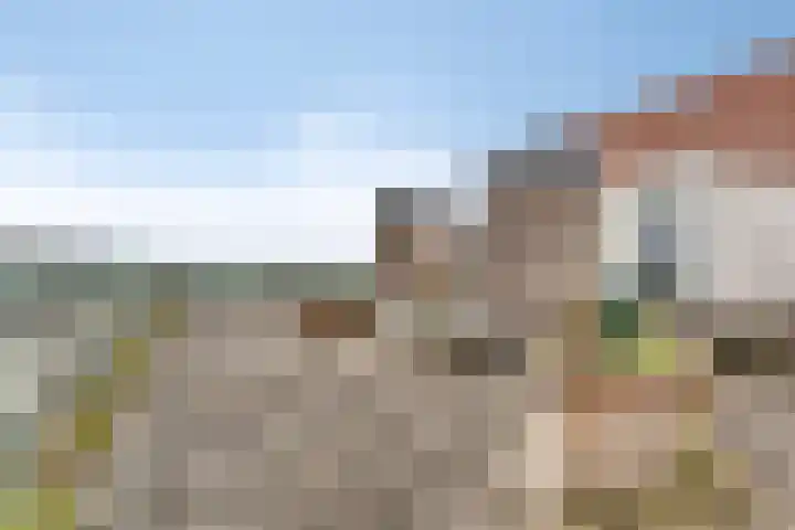 Teakhout 44 Zaandam thumbnail 18