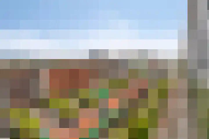 Teakhout 44 Zaandam thumbnail 19