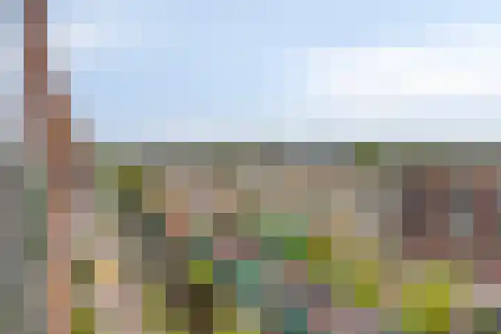 Teakhout 44 Zaandam thumbnail 20