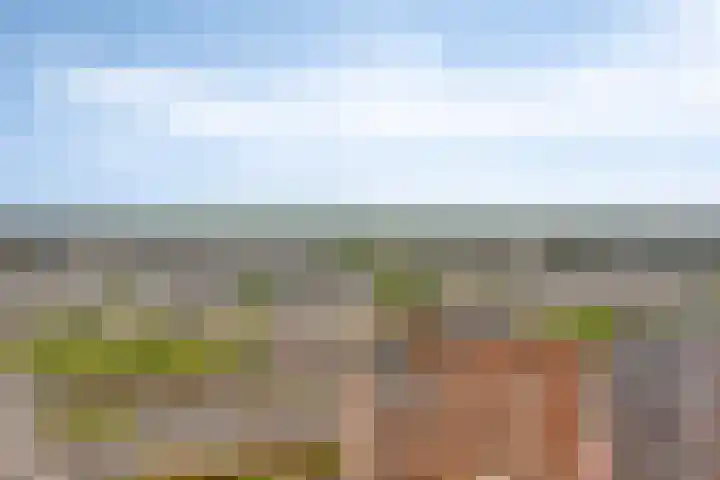 Teakhout 44 Zaandam thumbnail 21