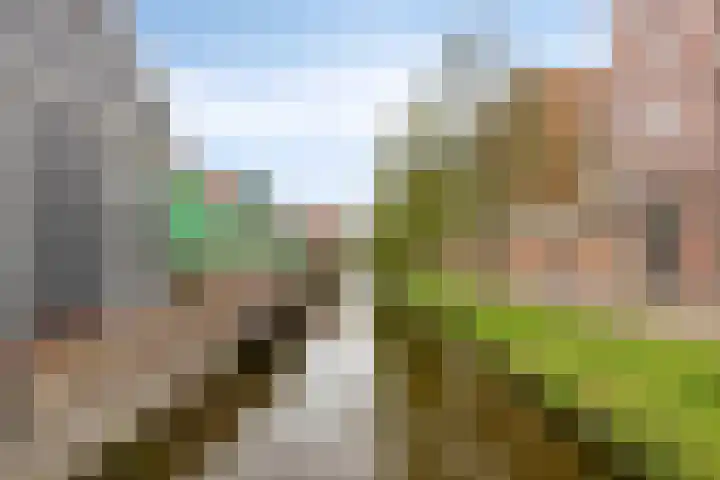Teakhout 44 Zaandam thumbnail 29