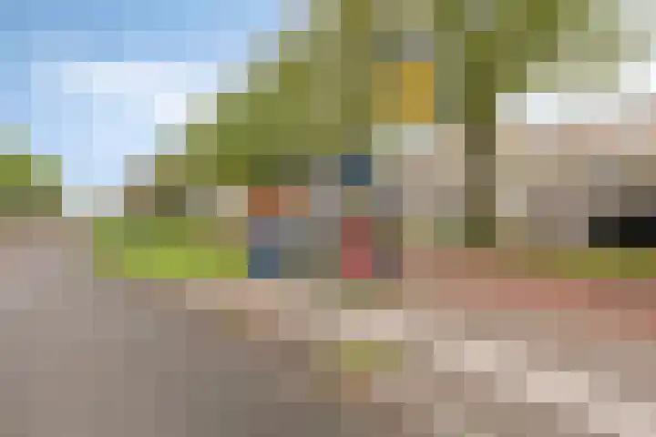 Teakhout 44 Zaandam thumbnail 31