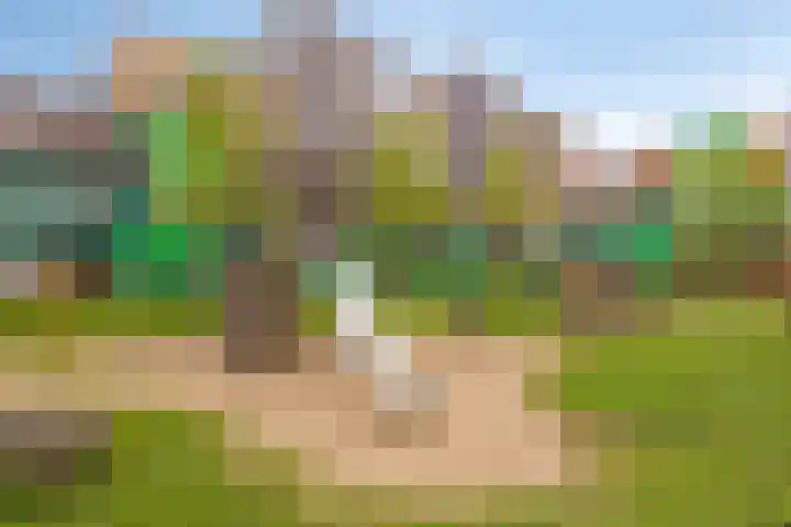 Teakhout 44 Zaandam thumbnail 32