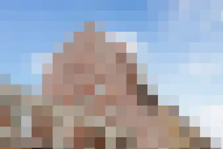Teakhout 45 en Zaandam