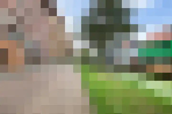 Teakhout 45 Zaandam thumbnail 22