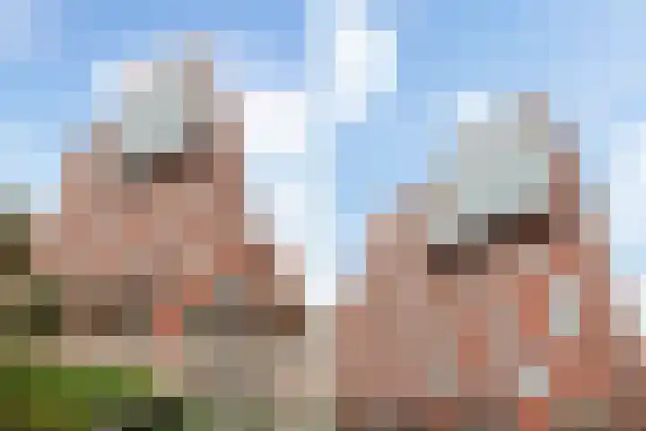 Teakhout 45 Zaandam thumbnail 6
