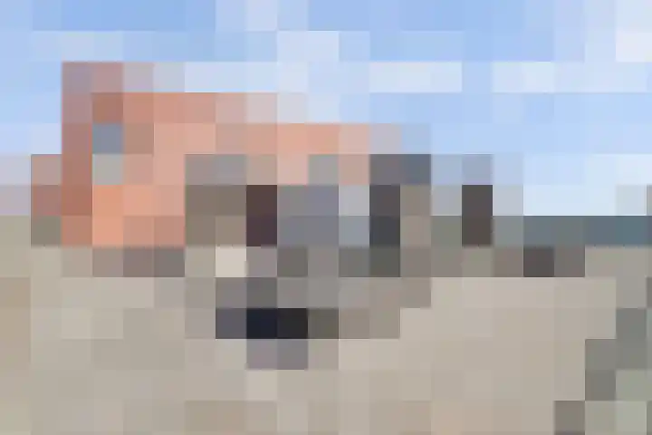 Teakhout 52 Zaandam thumbnail 31