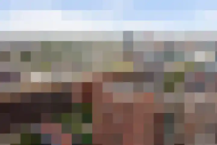Teakhout 52 Zaandam thumbnail 32