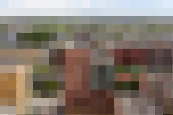 Teakhout 52 Zaandam thumbnail 34