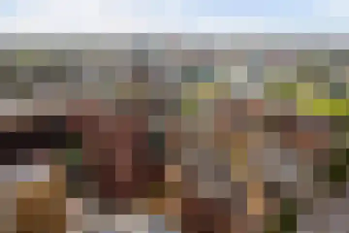 Teakhout 52 Zaandam thumbnail 35