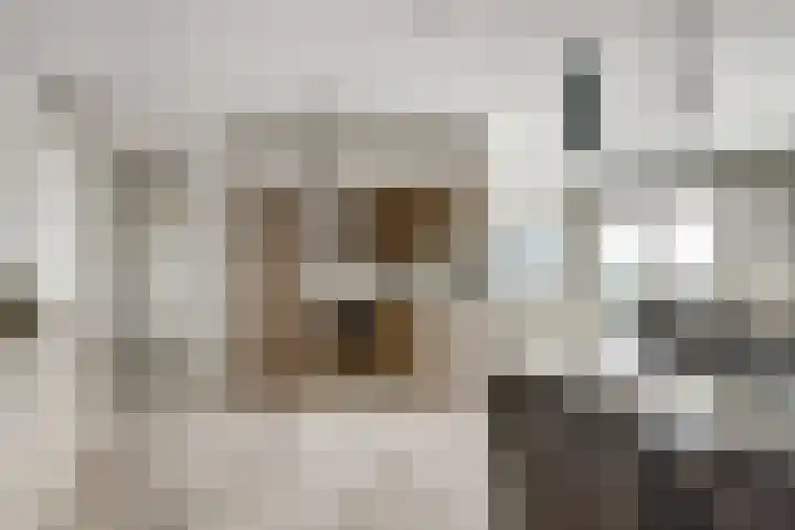 Teakhout 52 Zaandam thumbnail 9
