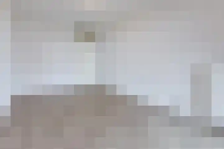 Teakhout 67 Zaandam thumbnail 13